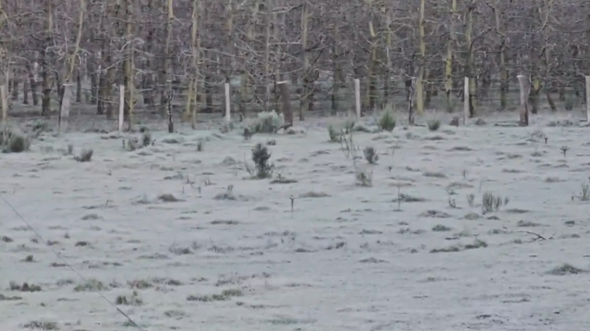 SC registra -9,1 °C e tem uma das menores temperaturas do ano