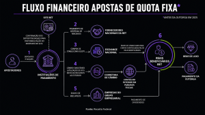 Infográfico sobre como funcionava o fluxo financeiro do grupo investigado
