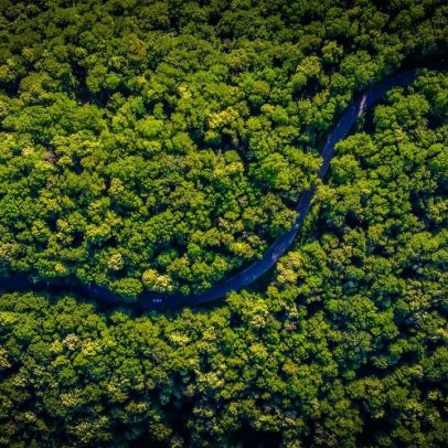 Amazônia tem menor área sob alerta de desmatamento da série histórica