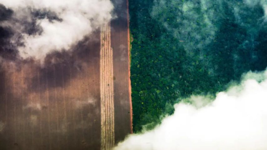 De acordo com o estudo, as áreas destinadas à agropecuária passaram de 18% para 32% do território brasileiro no período | Foto: Marcelo Camargo/Agência Brasil
