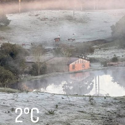 Frio intenso deixa cidades do Sul com temperaturas negativas e geada