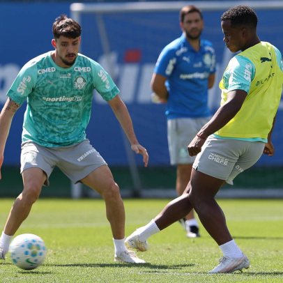 Botafogo x Palmeiras pelo Brasileirão: onde assistir e escalações