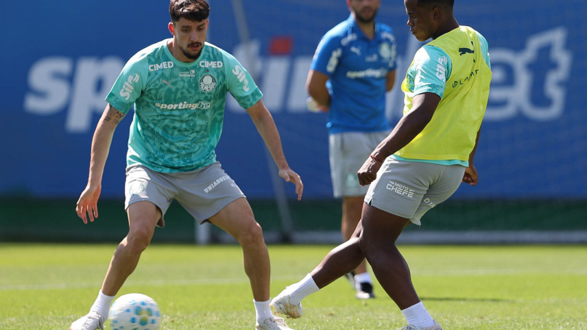 Botafogo x Palmeiras pelo Brasileirão: onde assistir e escalações