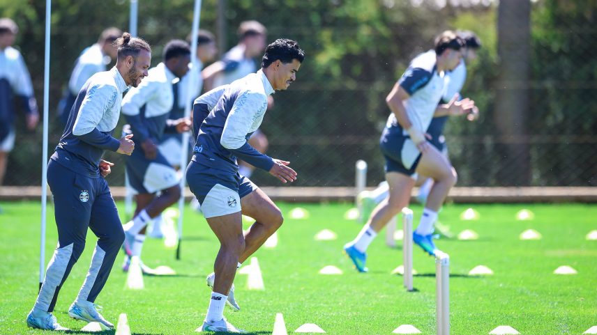 Botafogo x Grêmio no Brasileirão: onde assistir ao vivo e escalações