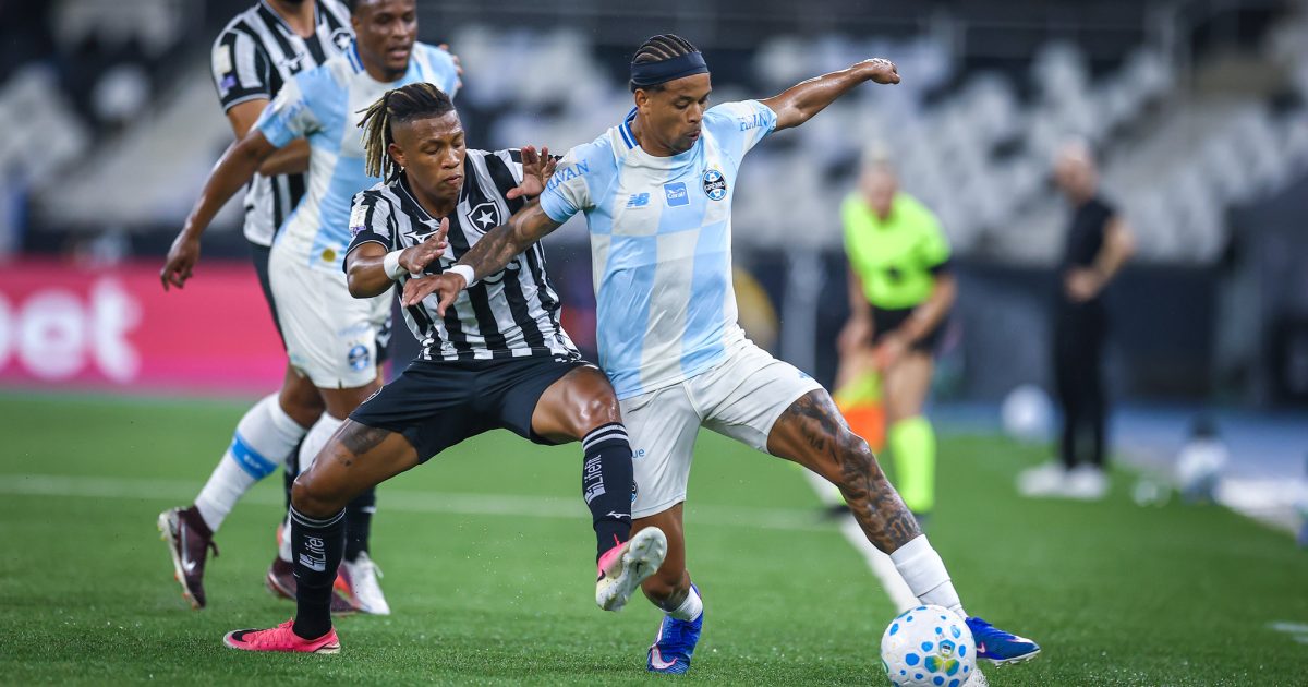 Danilo faz dois, Botafogo bate Grêmio e encerra jejum no Brasileiro