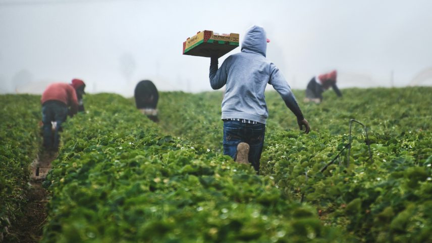 Novo seguro rural é sancionado e amplia benefícios para produtores