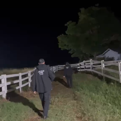 Polícia mira grupo que furtou 2 mil cabeças de gado no Paraná