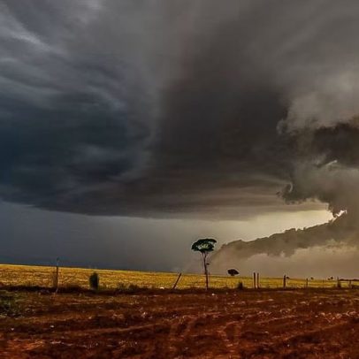 Dois tornados atingem o Paraná em menos de 24 horas