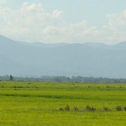 Região dos Pampas perdeu 11,3 milhões de hectares de vegetação nativa