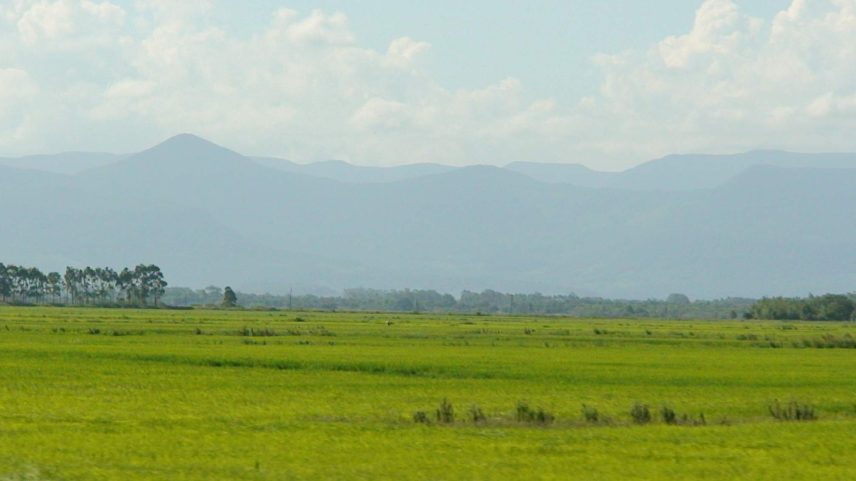 Região dos Pampas perdeu 11,3 milhões de hectares de vegetação nativa