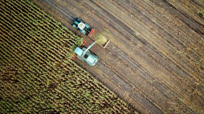 PIB cresce 0,5% no 2º trimestre e desacelera após alta de 1,1%