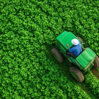 Produção agrícola do Brasil bate recorde de R$ 927 bilhões em 2025