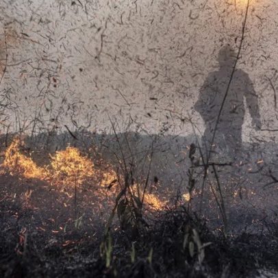 Governo federal aprova R$ 45 milhões para seca e queimadas no Amazonas