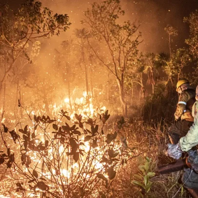 Governo amplia ações de combate ao fogo após apagar 229 incêndios no Amazonas