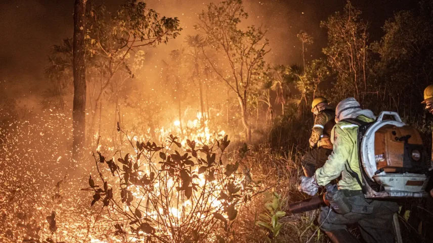 Governo amplia ações de combate ao fogo após apagar 229 incêndios no Amazonas