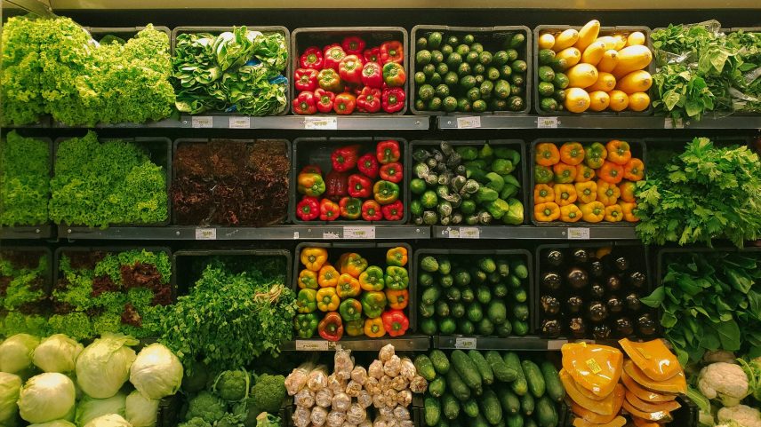 Agência da ONU teme crise alimentar após aumento do custo de energia