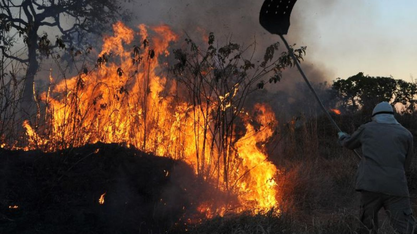 Defesa Civil emite alerta severo por fumaça de queimadas em Manaus