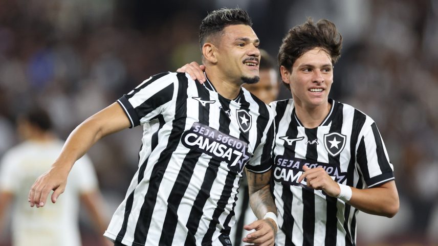 Botafogo bate Chapecoense e conquista primeira vitória com Tite