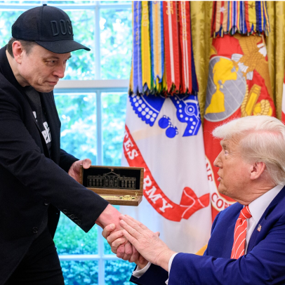 Elon Musk retorna ao governo Trump para atuar em projeto do Pentágono