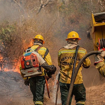 Incêndios na Amazônia disparam impulsionados pelo El Niño