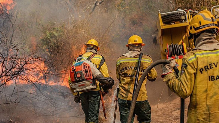 Incêndios na Amazônia disparam impulsionados pelo El Niño