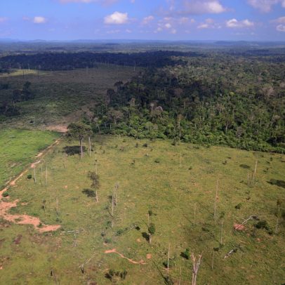 Amazônia tem menor nível de desmatamento da série histórica em 2025