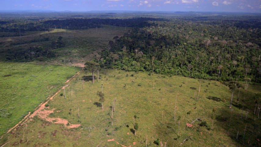 Amazônia tem menor nível de desmatamento da série histórica em 2025