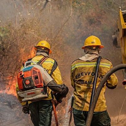 Força-tarefa extingue mais de 300 focos de incêndio no Amazonas