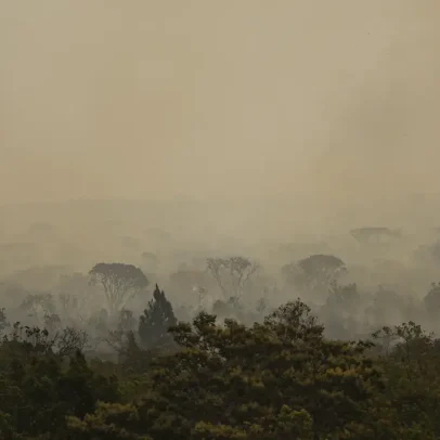 Fumaça de incêndios leva a 541 atendimentos de saúde no Amazonas