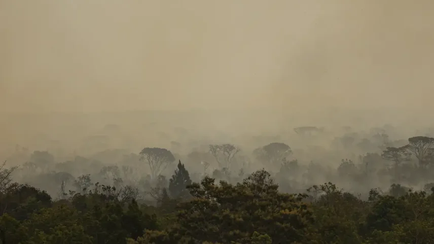 Fumaça de incêndios leva a 541 atendimentos de saúde no Amazonas