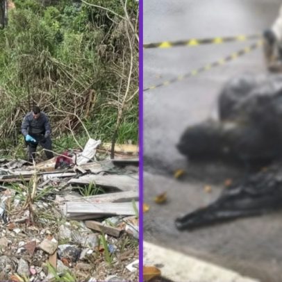 Polícia afasta hipótese de serial killer após 8 mortes na Grande SP
