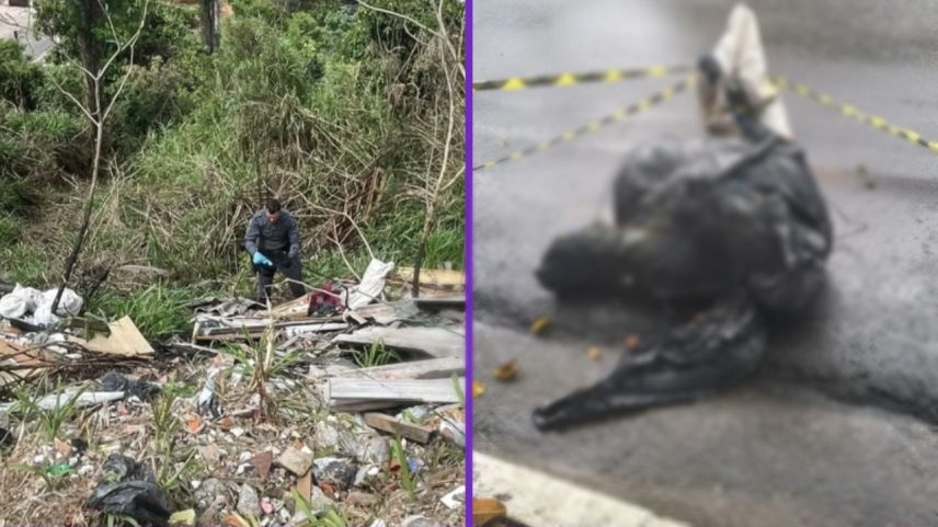 Polícia afasta hipótese de serial killer após 8 mortes na Grande SP