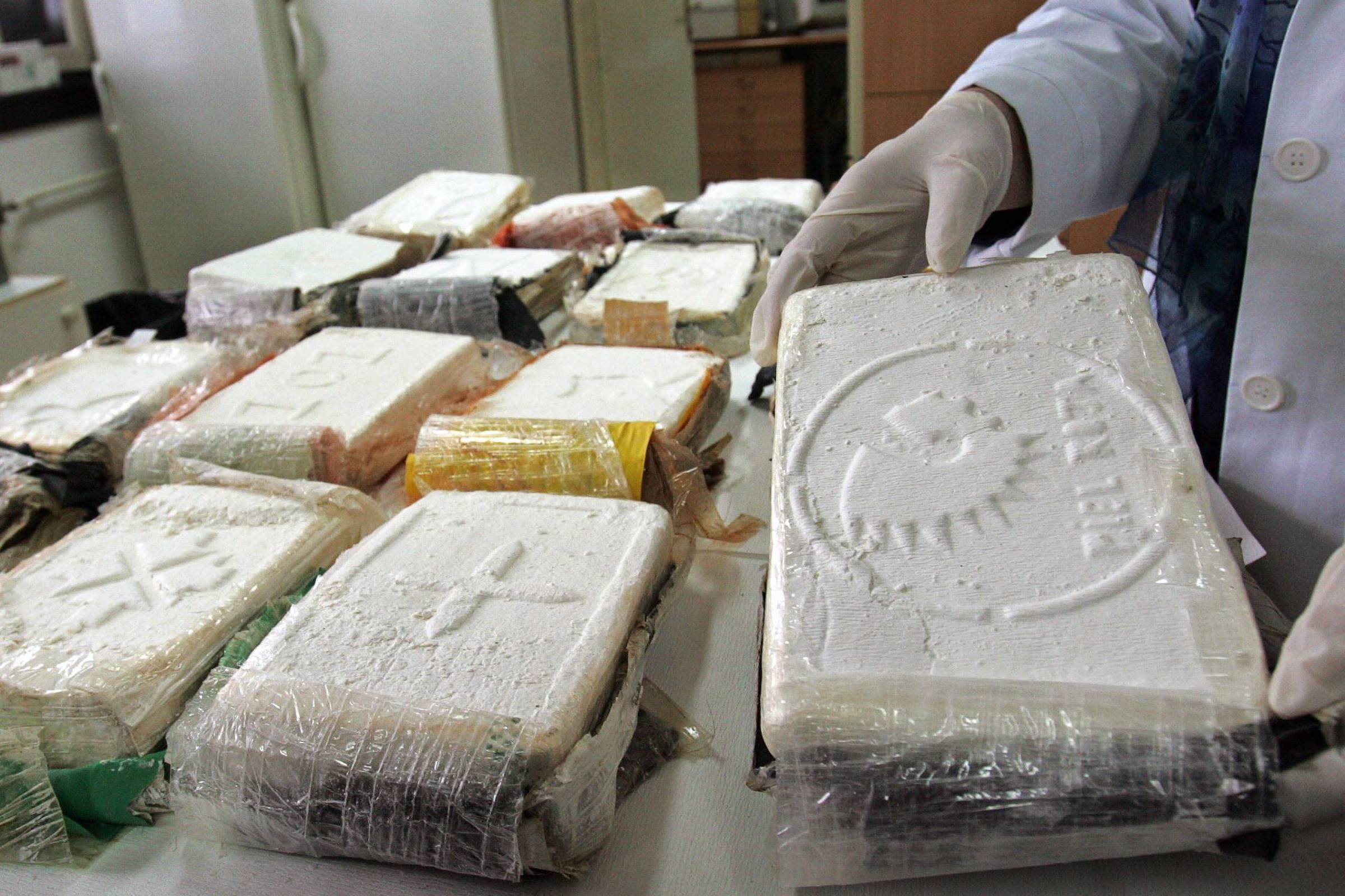 Traficantes de cocaína investem em tecnologia para aumentar lucros no tráfico Atualmente, mais pasta base de cocaína, a base da substância final, pode ser extraída de uma planta de coca (Foto: Getty Images/BBC News Brasil)