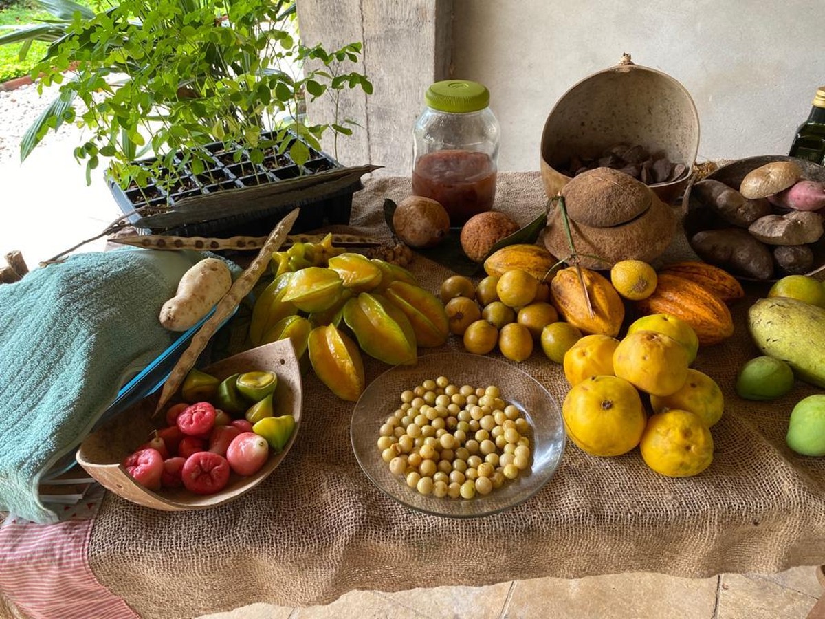 COP 30 garante alimentos da agricultura familiar e comunidades tradicionais Cacau, carambola, coco, cogumelo, temperos: sobre a mesa uma pequena mostra de produtos fornecidos pela agricultura familiar na região — Foto: Divulgação