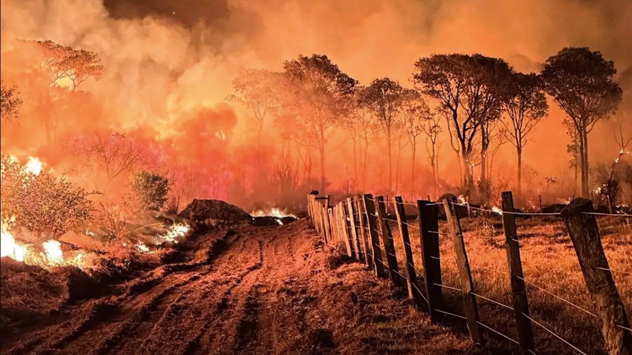 Foto:Reprodução