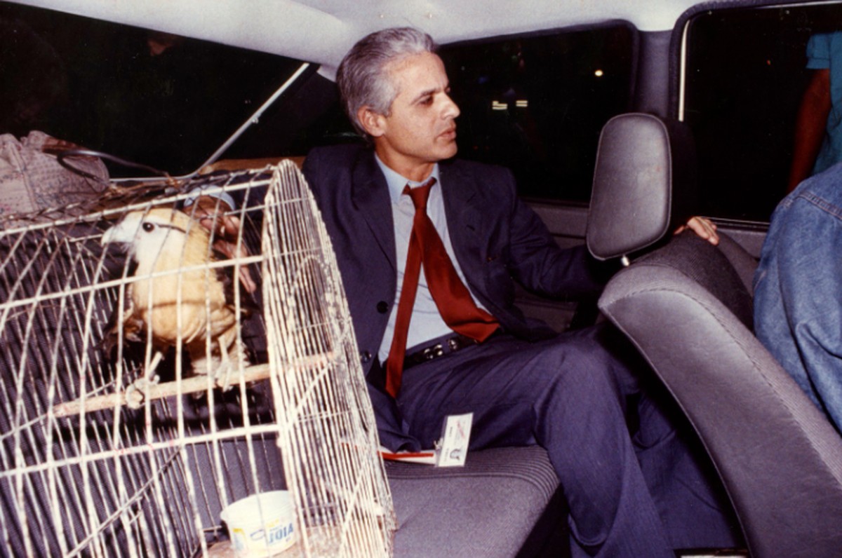 Crime organizado no Rio intensifica sequestros, como o de Roberto Medina Roberto Medina com o gavião na gaiola depois de ser libertado, em 1990 (Foto: Chiquito Chaves/Agência O GLOBO)