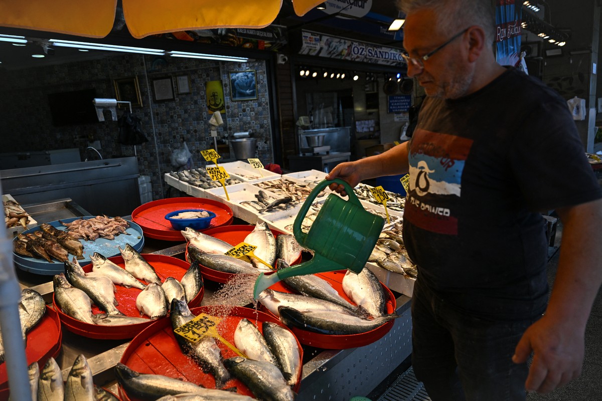 Salmão turco se torna nova sensação do mar Negro e atrai investidores internacionais Salmão turco é exibido em um mercado de peixes em Trabzon, no Mar Negro (Foto: Oman Koze/AFP)