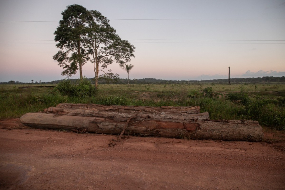 Foto:Reprodução
