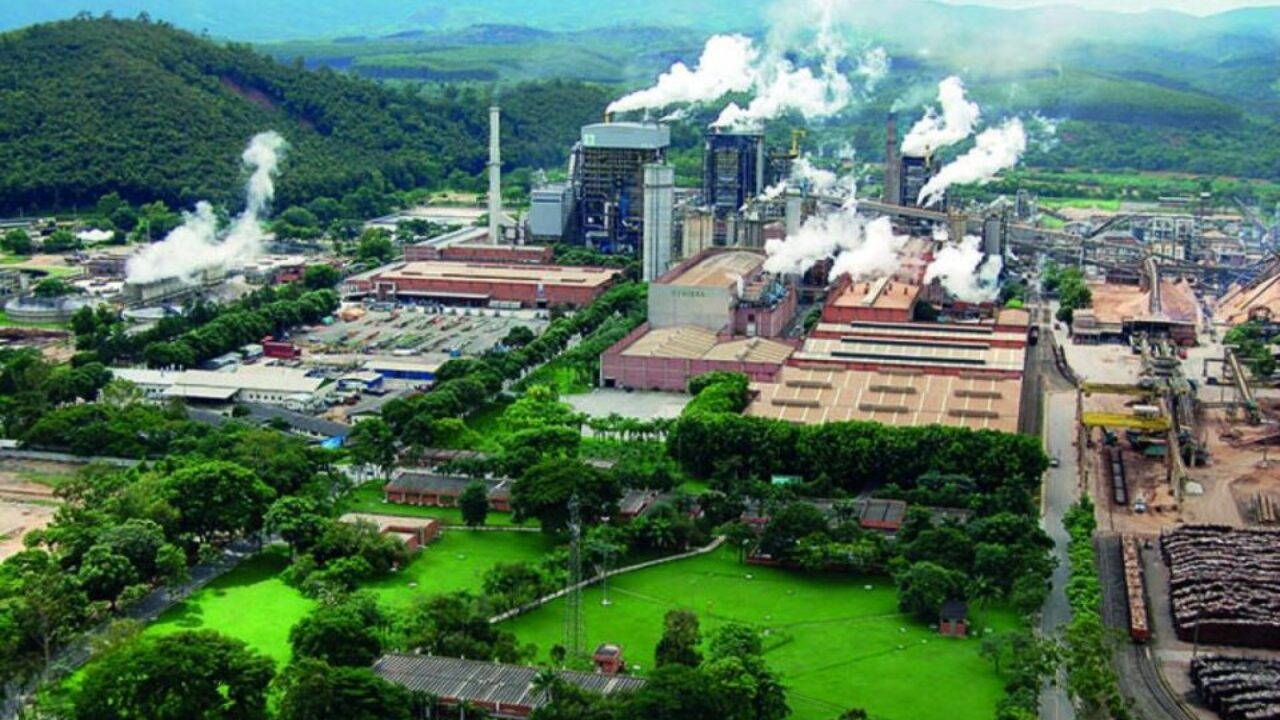 Cenibra e Grupo Plantar firmam joint venture para novos projetos sustentáveis Foto: Reprodução