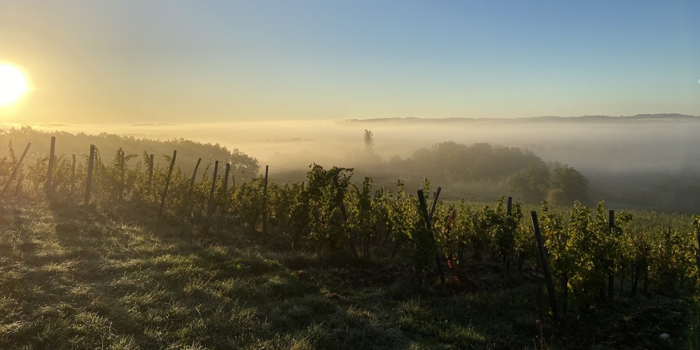 Monbazillac se revela encantador sob a neblina misteriosa Foto: Reprodução