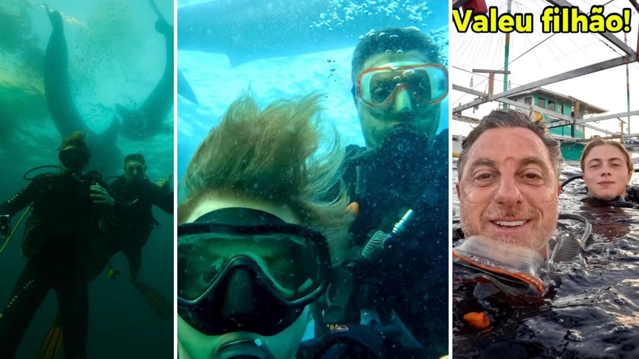 Luciano Huck e Benício nadam com tubarões e geram preocupação na família Foto: Reprodução