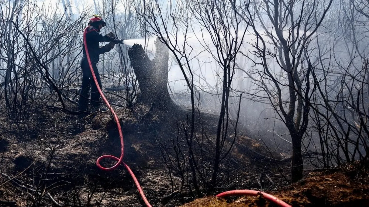 Incêndio florestal na França atinge proporções históricas e segue fora de controle