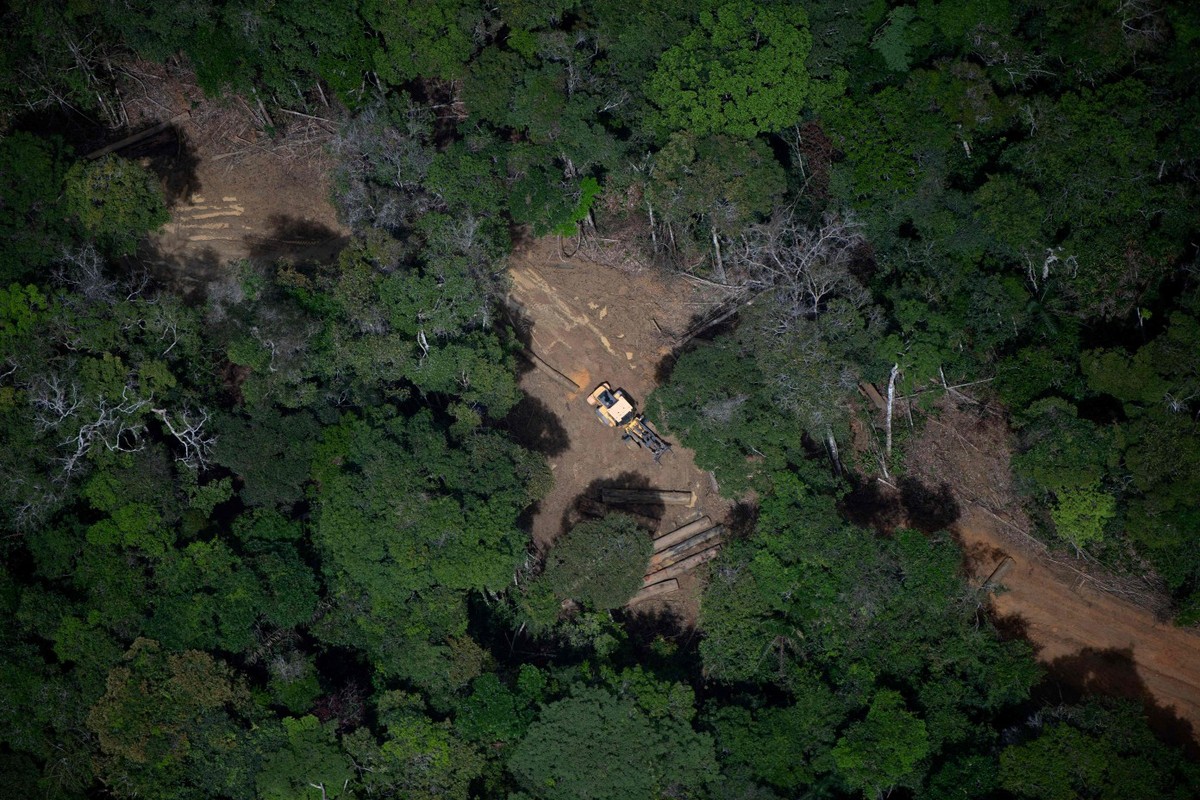 Justiça bloqueia R$ 49 milhões de envolvidos em desmatamento na Amazônia Área desmatada entre Manaus e Manicoré, no estado do Amazonas (Foto: Mauro Pimentel/AFP)