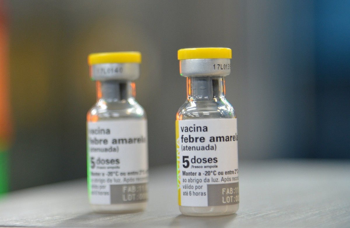 Febre amarela pode estar retornando e preocupa autoridades de saúde Febre amarela pode estar retornando e preocupa autoridades de saúde