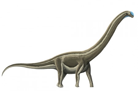Fósseis com marcas de doença óssea eram de saurópodes, da mesma ordem do Tambatitanis (Foto: Palaeotaku/Wikimedia Commons)