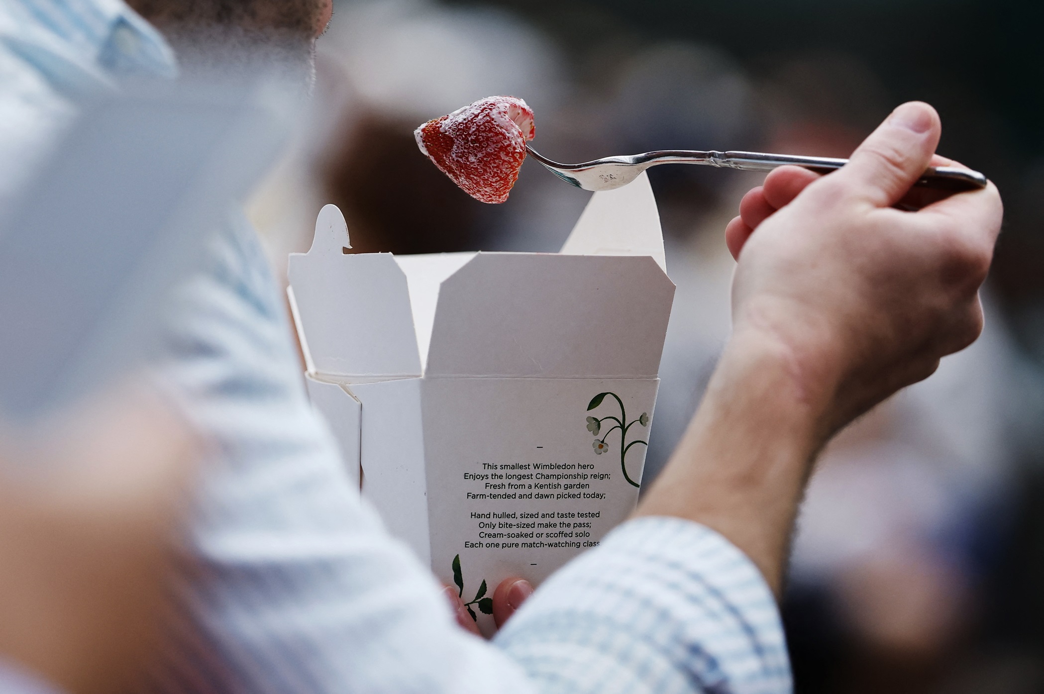 Wimbledon eleva preço dos morangos com creme após 15 anos sem mudanças Tênis - Wimbledon - All England Lawn Tennis and Croquet Club, Londres, Reino Unido - 5 de julho de 2025. Espectador consome morango. (Foto: REUTERS/Stephanie Lecocq)