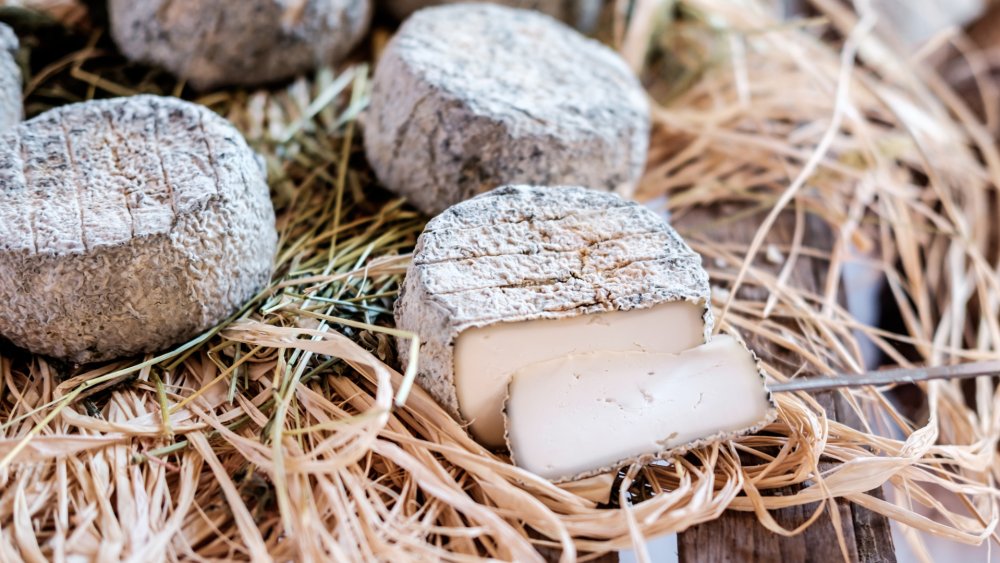 Descubra como o queijo transforma os harmoniosos acordos de vinhos e pratos Descubra como o queijo transforma os harmoniosos acordos de vinhos e pratos