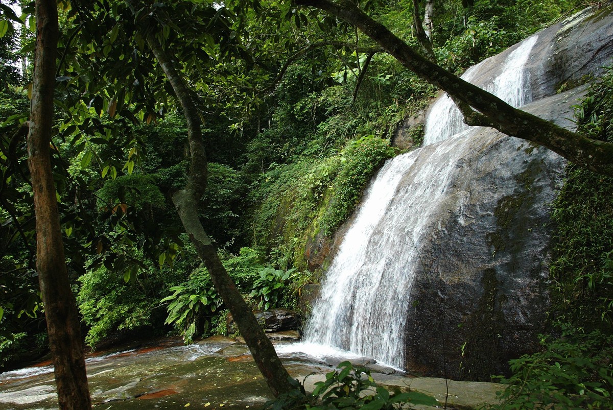 Aumenta em 67% o número de salvamentos em trilhas do Rio para turistas em 2023 Cachoeira dos Primatas, na Zona Sul do Rio (Foto: Infoglobo)