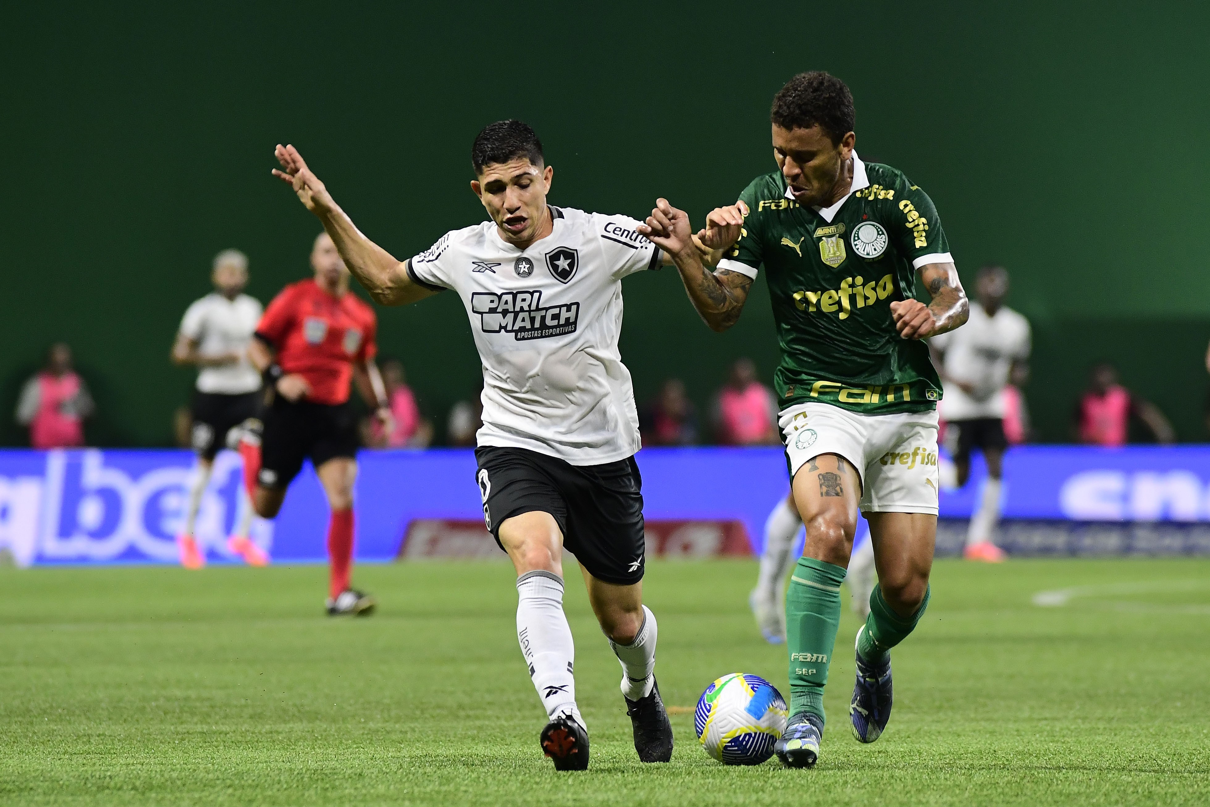Palmeiras ou Botafogo podem faturar grande prêmio na quarta-feira Foto: Reprodução