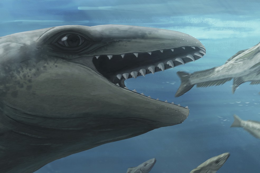 Um Janjucetus dumbardi é retratado perseguindo um peixe. (Foto: Ruairidh Duncan via AP)